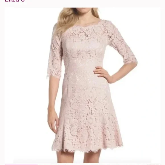 Women's Eliza J Lace Fit & Flare Dress, Size 10 - Pink Women's Eliza J Lace Fit & Flare Dress, Size 10 - Pink